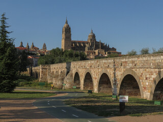 Fototapeta premium cathedral of Salamanca