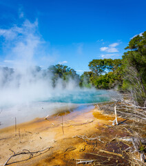 Exploring the New Zealand city of Rotorua on a summers day