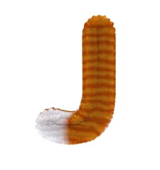 Orange Tabby Cat Themed Font Letter J