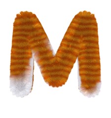 Orange Tabby Cat Themed Font Letter M