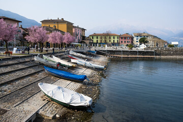 First day of Spring in Colico (Italy). The slipway, cherry blossoms and typical old houses in the historic touristic village on Lake Lario, shot in spring light on Mar - obrazy, fototapety, plakaty