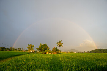 Rainbow over agriculture field at Malays kampung house