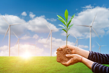 Hand holding growing seedlings over blurred wind turbine field background. World environment day, Forest conservation concept. © banphote