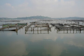 Klaten, Indonesia, March 3, 2021. Nets built by fishermen in the Rowo Jombor reservoir for freshwater fish farming.