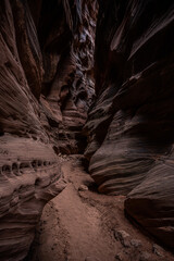 Daylight Slowly Creeps Into The Dark Walls Of Buckskin Gulch