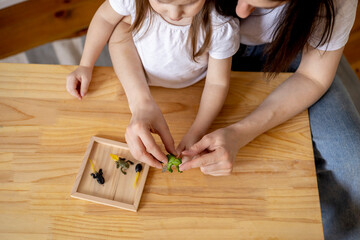 Montessori material. Mom, while playing with a child, tells the process of the appearance of a frog.