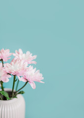 Pink and blue flowers in white vase