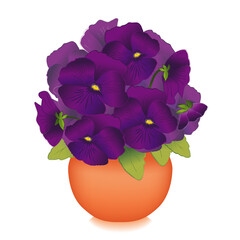 Purple Pansy flowers (Viola tricolor) in decorative clay flowerpot planter, isolated on white background. 