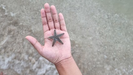 a starfish in hand at a beach in Sonkhla Thailand
