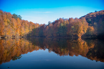 Autumn season in Bolu Yedigöller . Reflections in the water 