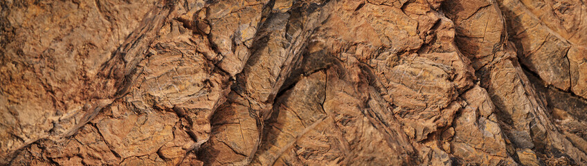 Texture of brown rock. Mountain rough cracked surface. Close-up. Stone granite wall background with copy space for design. Wide banner. Panoramic. Grunge background.