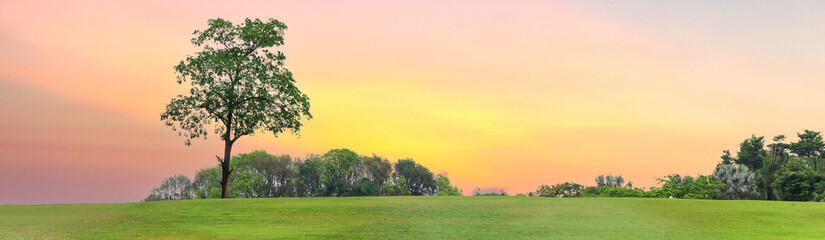 Fototapeta na wymiar Spring Scenery - Green Meadow evening sky and sunset, banner