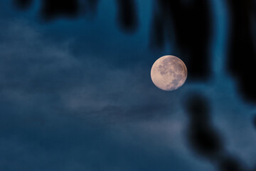 A day after the full moon