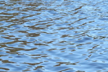 Light blue shiny water surface on Florida lake as a background
