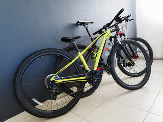 Fototapeta na wymiar Two mountain bikes at home.