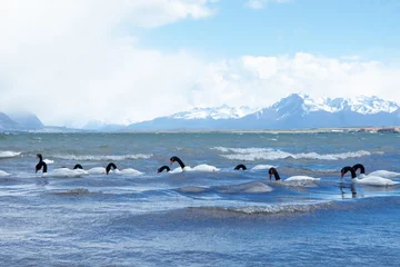 Foto op Aluminium Landscapes from Puerto Natales, Patagonia © des.cortex
