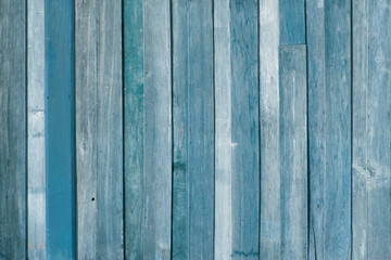 Fototapeta premium Wood texture with natural patterns. ฺBlue tone