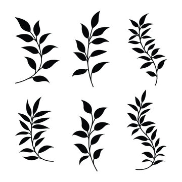 set of leaves