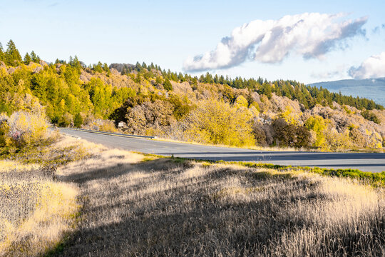 Highway road among autumn hills with yellowed trees and withered grass