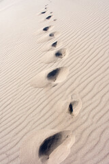 Footprints in the sand dunes.