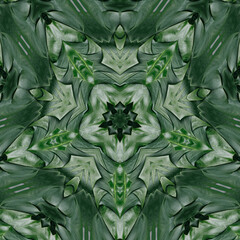 Green mandala from forest palm, monstera or fern tree leaves. Mandala made from natural objects....
