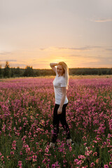  Landscape with blooming violet, purple and pink sticky catchfly (Viscaria vulgaris) . Sunset. Field in the Penza region Belinsk. Girl in a flower field