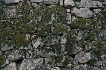 moss on stone wall