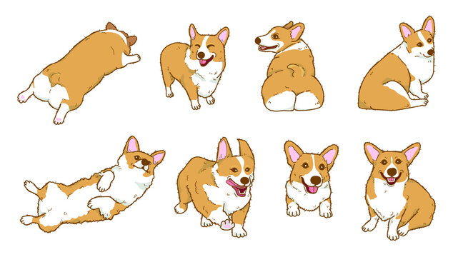 Cartoon corgi dog illustration collection