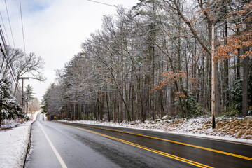 Fototapeta premium Winter highway stretching into the horizon and wet from melted snow framed by a forest of bare deciduous trees powdered with snow