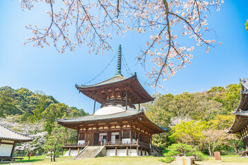 根来寺の大毘廬遮那法界体性塔