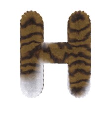 Brown Tabby Cat Themed Font Letter H