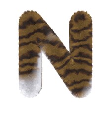 Brown Tabby Cat Themed Font Letter N
