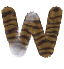 Brown Tabby Cat Themed Font Letter W