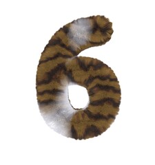 Brown Tabby Cat Themed Font Number 6