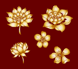 Hand drawn lotus and koi fish carp vector for printing on background.Lucky Chinese animal illustration for painting.