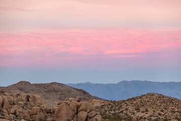 Fototapeta na wymiar Incredible pink sunset in Joshua Tree National Park, California