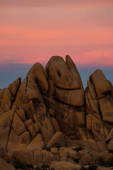 Incredible pink sunset in Joshua Tree National Park, California