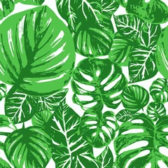Foto op Plexiglas Monstera pattern of tropical large velvet green monstera leaves, palm leaf on white background 