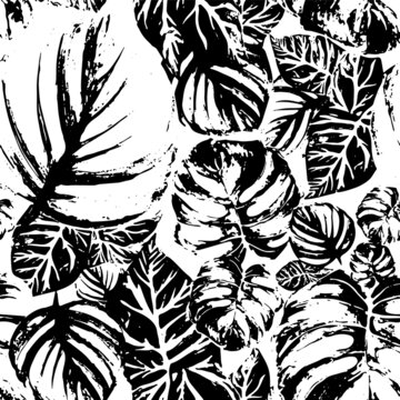pattern of tropical large  monstera leaves, palm leaf on white background	