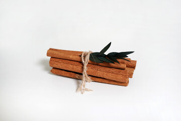 계피와 유칼립투스 gum tree