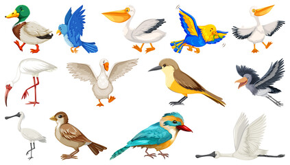 Different kinds of birds collection