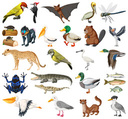 Different kinds of animals collection