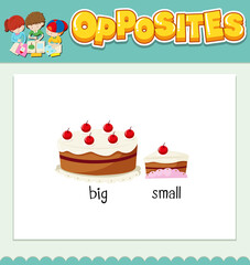 Opposite words for big and small