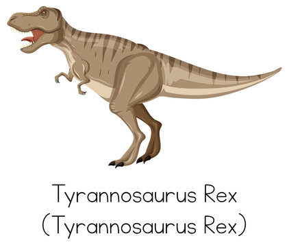 Tyrannosaurus Rex roaring on white background