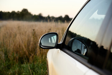 Picture of white car parked in country side or wild filed with dry tall grass and blurred foggy background with deep green wood or forest. Traveling and adventures. Far away from big city