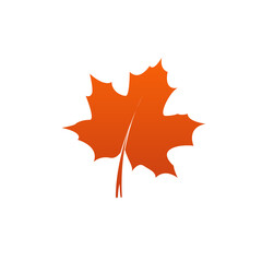 A Red maple leaf on white background. autumn leaf of maple symbol as a seasonal themed concept used in icon, logo of the fall weather on an isolated vector, illustration