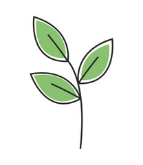 leaves nature icon