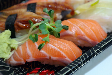 salmon sushi lunch box