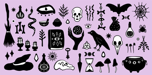 Graphic witchcraft set. Collection of vector mystic magic doodle elements:skull,snake,potion bottles,crystal ball,spellbook,raven,herbs,bat,candle,knife,spider,mushroom,cauldron.Design for halloween.