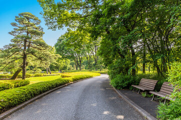 新緑 公園　日本庭園　皇居
